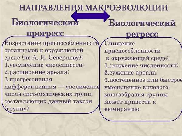 Макроэволюция: закономерности и доказательства