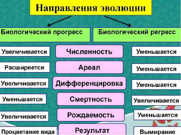 Направления эволюции: прогресс и его способы реализации, регресс