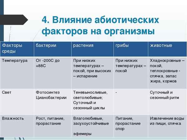 Абиотические факторы: температура, влажность, свет и их влияние на организм