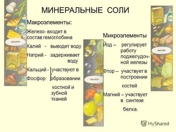 Минеральные соли, макро- и микроэлементы, необходимые растению