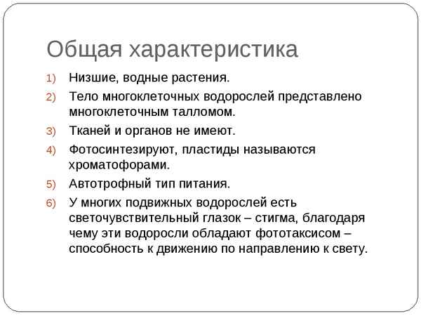 Общая хаpaктеристика водорослей